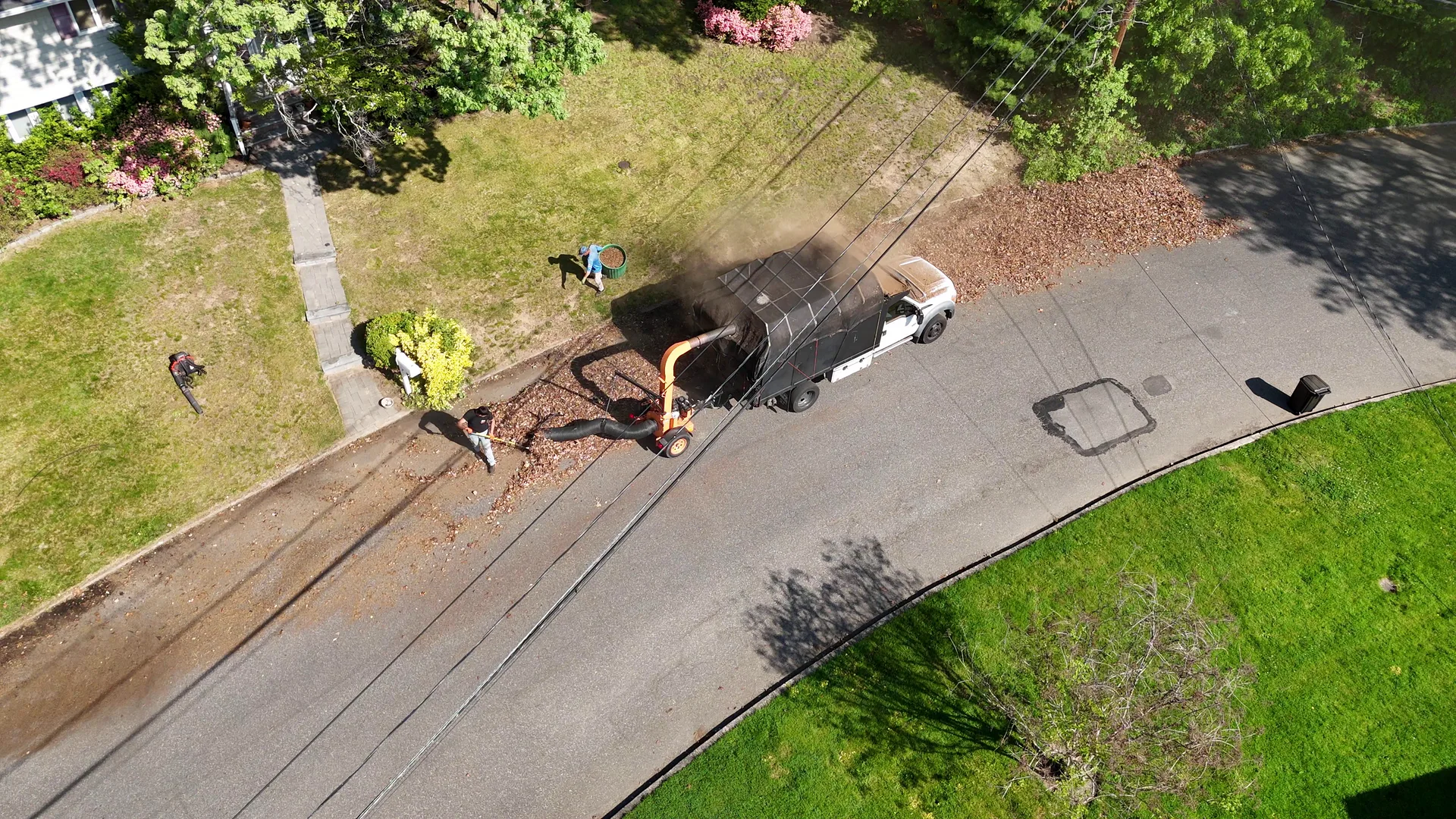 Aerial of a spring cleanup crew spreading mulch along a driveway lined with blooming pink azaleas.