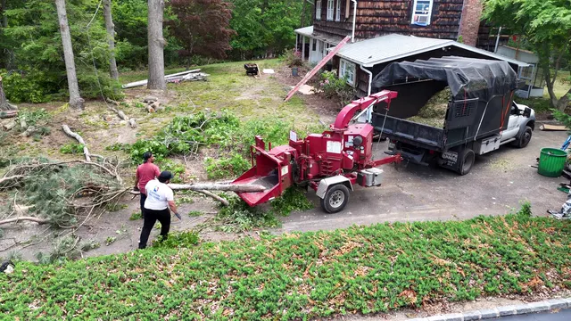 Aerial of the chipper and crew clearing cut limbs from a wooded lot.