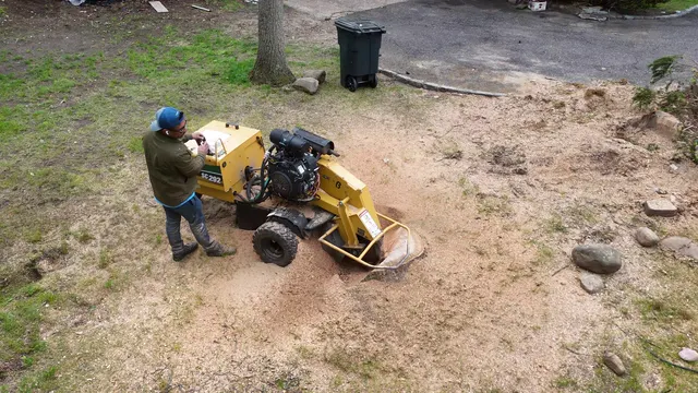 A yellow stump grinder throwing a spray of wood chips as it grinds a stump below grade.