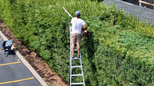 A worker kneeling to hand-finish the base of a crisply trimmed hedge in an open lot.