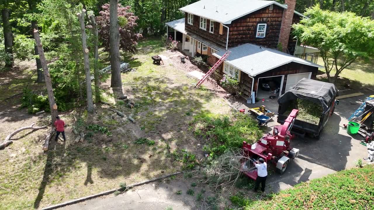 Crew working the weekly maintenance route under mature trees in full leaf